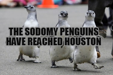 the-sodomy-penguins-have-reached-houston