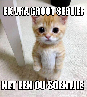 Meme Creator - Funny Ek vra groot seblief net een ou soentjie Meme ...