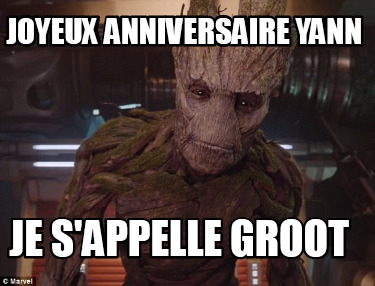 Meme Creator Funny Joyeux Anniversaire Yann Je S Appelle Groot Meme Generator At Memecreator Org