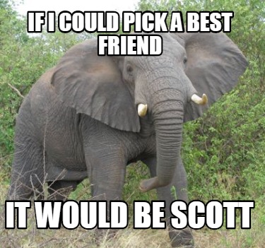 if-i-could-pick-a-best-friend-it-would-be-scott