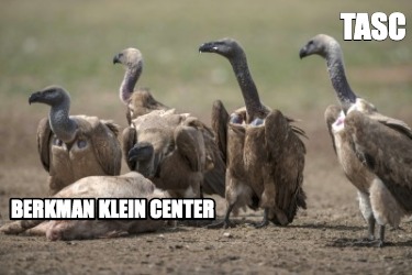 tasc-berkman-klein-center