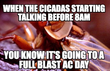 when-the-cicadas-starting-talking-before-8am-you-know-its-going-to-a-full-blast-