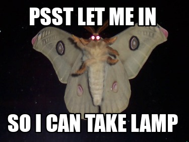 Meme Creator - Funny Psst let me in So i can take lamp Meme Generator ...