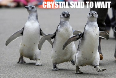 crystal-said-to-wait