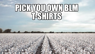 pick-you-own-blm-t-shirts