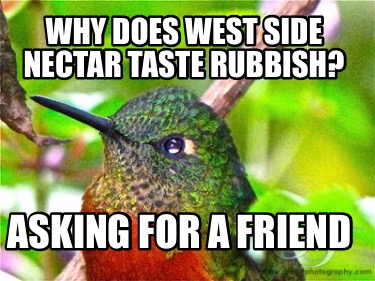 why-does-west-side-nectar-taste-rubbish-asking-for-a-friend
