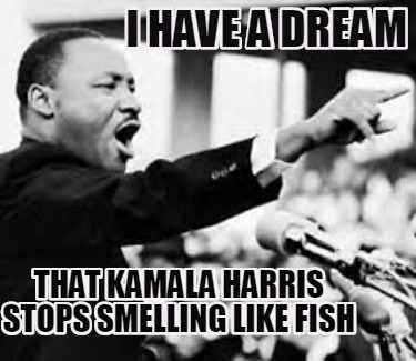 Meme Creator Funny I Have A Dream That Kamala Harris Stops Smelling Like Fish Meme Generator At Memecreator Org