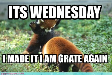 its-wednesday-i-made-it-i-am-grate-again