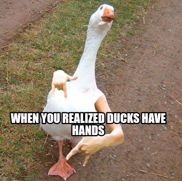 Meme Creator - Funny When you realized ducks have hands Meme Generator ...