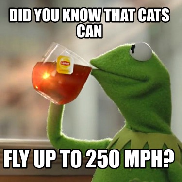 Meme Creator Funny Did You Know That Cats Can Fly Up To 250 Mph Meme Generator At Memecreator Org