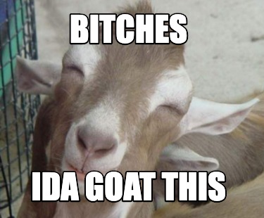 bitches-ida-goat-this