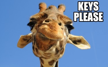 funny giraffe pictures with captions