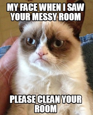 Meme Creator Funny My Face When I Saw Your Messy Room Please Clean Your Room Meme Generator At Memecreator Org