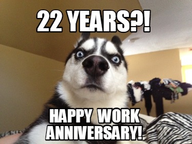 Work Anniversary Meme : 101 Happy Work Anniversary Messages To Make ...