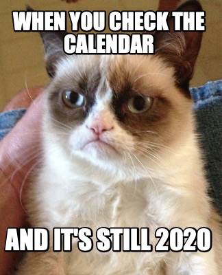 Meme Creator - Funny When you check the calendar and it's still 2020 ...