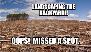 landscaping-the-backyard-oops-missed-a-spot