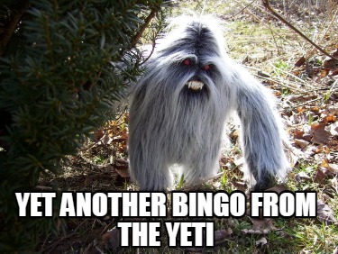 yet-another-bingo-from-the-yeti