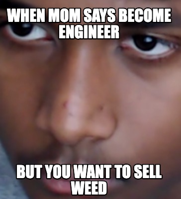 when-mom-says-become-engineer-but-you-want-to-sell-weed