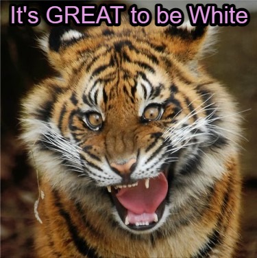 its-great-to-be-white9