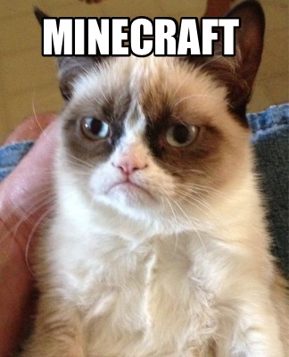 minecraft46