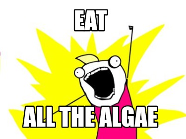 Meme Creator - Funny Eat All the algae Meme Generator at MemeCreator.org!