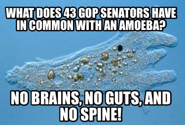 what-does-43-gop-senators-have-in-common-with-an-amoeba-no-brains-no-guts-and-no