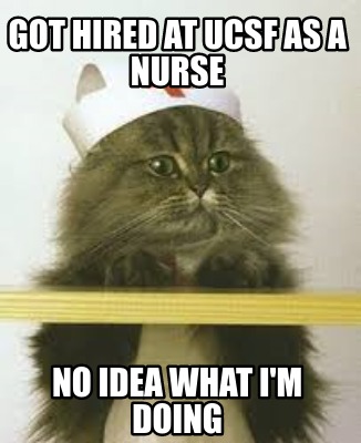 got-hired-at-ucsf-as-a-nurse-no-idea-what-im-doing
