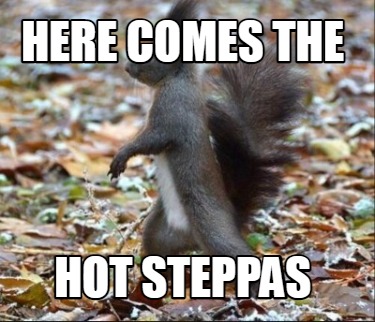 here-comes-the-hot-steppas