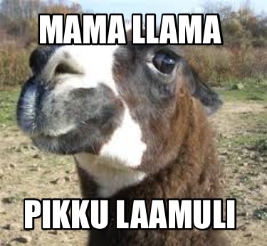 mama-llama-pikku-laamuli