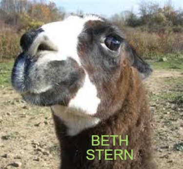 beth-stern