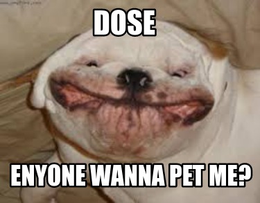 Meme Creator Fat Smiling Dog Meme Generator At Memecreator Org