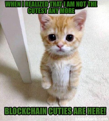 Meme Creator Funny When I Realized That I Am Not The Cutest Any More Blockchain Cuties Are Here Meme Generator At Memecreator Org