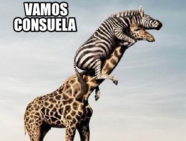 vamos-consuela7