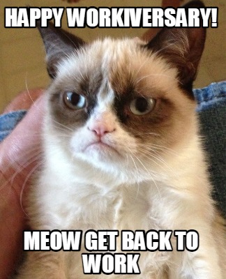 Meme Creator - Funny Happy Workiversary! Meow get back to work Meme ...