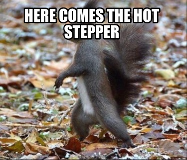 here-comes-the-hot-stepper