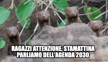 Meme Creator Funny Ragazzi Attenzione Stamattina Parliamo Dell Agenda 30 Meme Generator At Memecreator Org