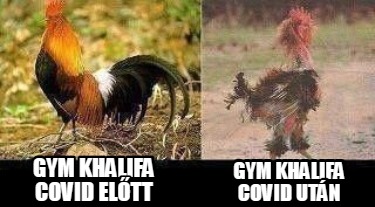 gym-khalifa-covid-eltt-gym-khalifa-covid-utn