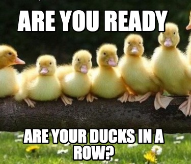 Meme Creator - Funny Are you ready are your ducks in a row? Meme ...