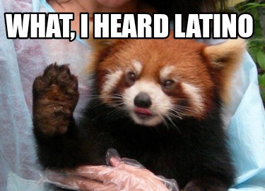 Meme Creator Red Panda Meme Generator At Memecreator Org