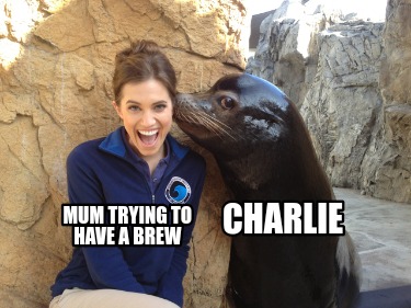 mum-trying-to-have-a-brew-charlie