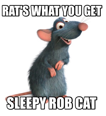 Meme Creator - Funny Rat's what you get Sleepy rob cat Meme Generator ...