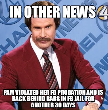 Meme Creator - Funny In other news Pam violated her fb probation and is ...