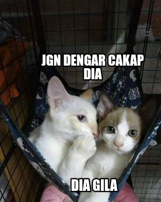 jgn-dengar-cakap-dia-dia-gila3