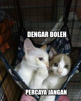 dengar-boleh-percaya-jangan7