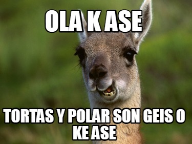 ola-k-ase-tortas-y-polar-son-geis-o-ke-ase