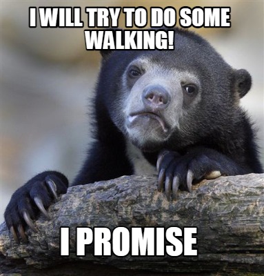 Meme Creator - Funny I will try to do some walking! I promise Meme ...