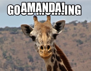 Meme Creator - Funny Good Morning Amanda! Meme Generator at MemeCreator ...