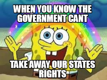 Meme Creator - Funny when you know the government cant take away our ...