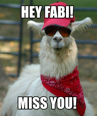 hey-fabi-miss-you