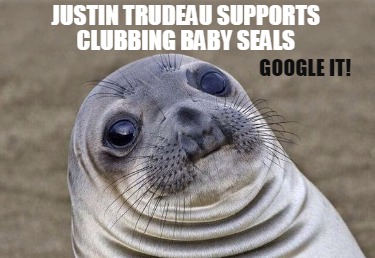 Meme Creator - Funny Justin Trudeau supports clubbing baby seals Google ...